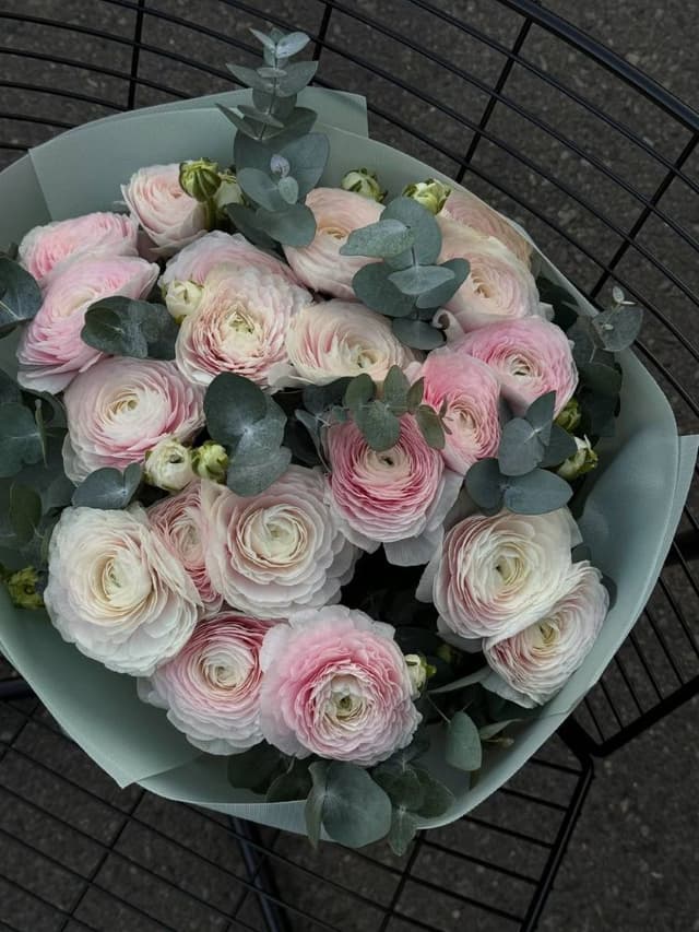 Ranunkulus